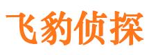 东洲市私家侦探